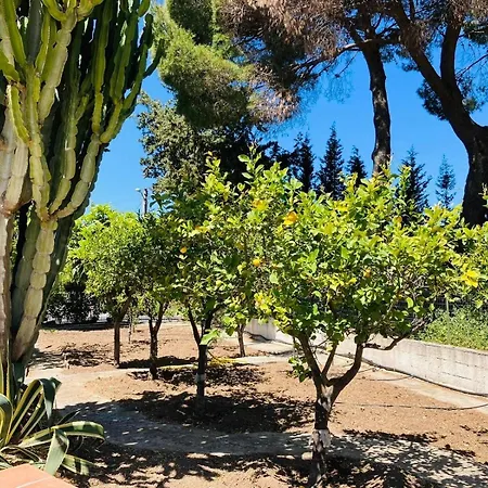Yole וילה נוטו